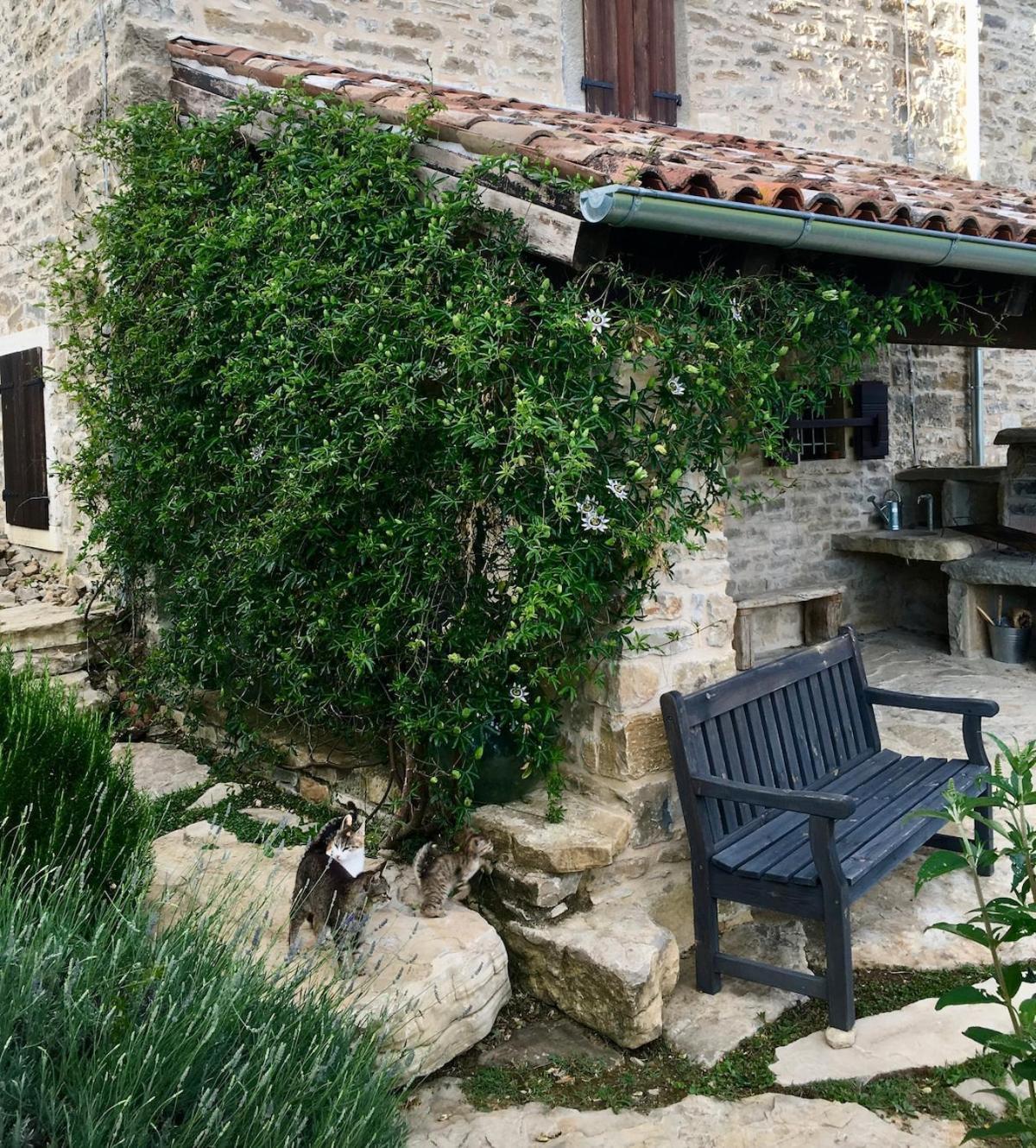 Bolara 60: The Cottage Grožnjan Eksteriør bilde